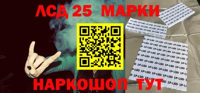 гидропоника Пенза