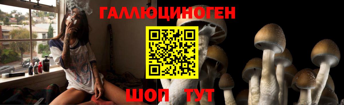 Рассказово  Псилоцибиновые грибы Magic Shrooms  Вход с VPN 